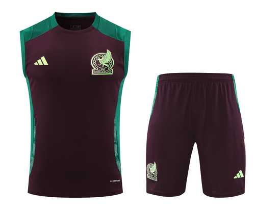 Mexico 2024 Men's Bordeaux Training Tank Top
