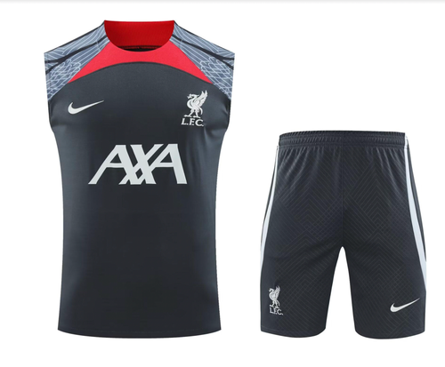 Liverpool 24/25 Men's Dark Gray Training Tank Top