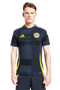 Scotland 2024 Stadium Men's Home Shirt