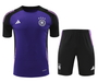 Germany 2024 Men's Purple Training Shirt
