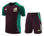 Mexico 2024 Men's Bordeaux Training Shirt