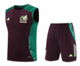 Mexico 2024 Men's Bordeaux Training Tank Top