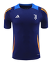 Juventus 24/25 Men's Navy Training Shirt