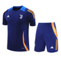 Juventus 24/25 Men's Navy Training Shirt