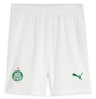 Palmeiras 25/26 Kid's Home Mini-Kit