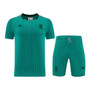 Liverpool 25/26 Men's Green Icons Shirt