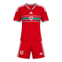 Wales 2026 Kid's Home Mini-Kit