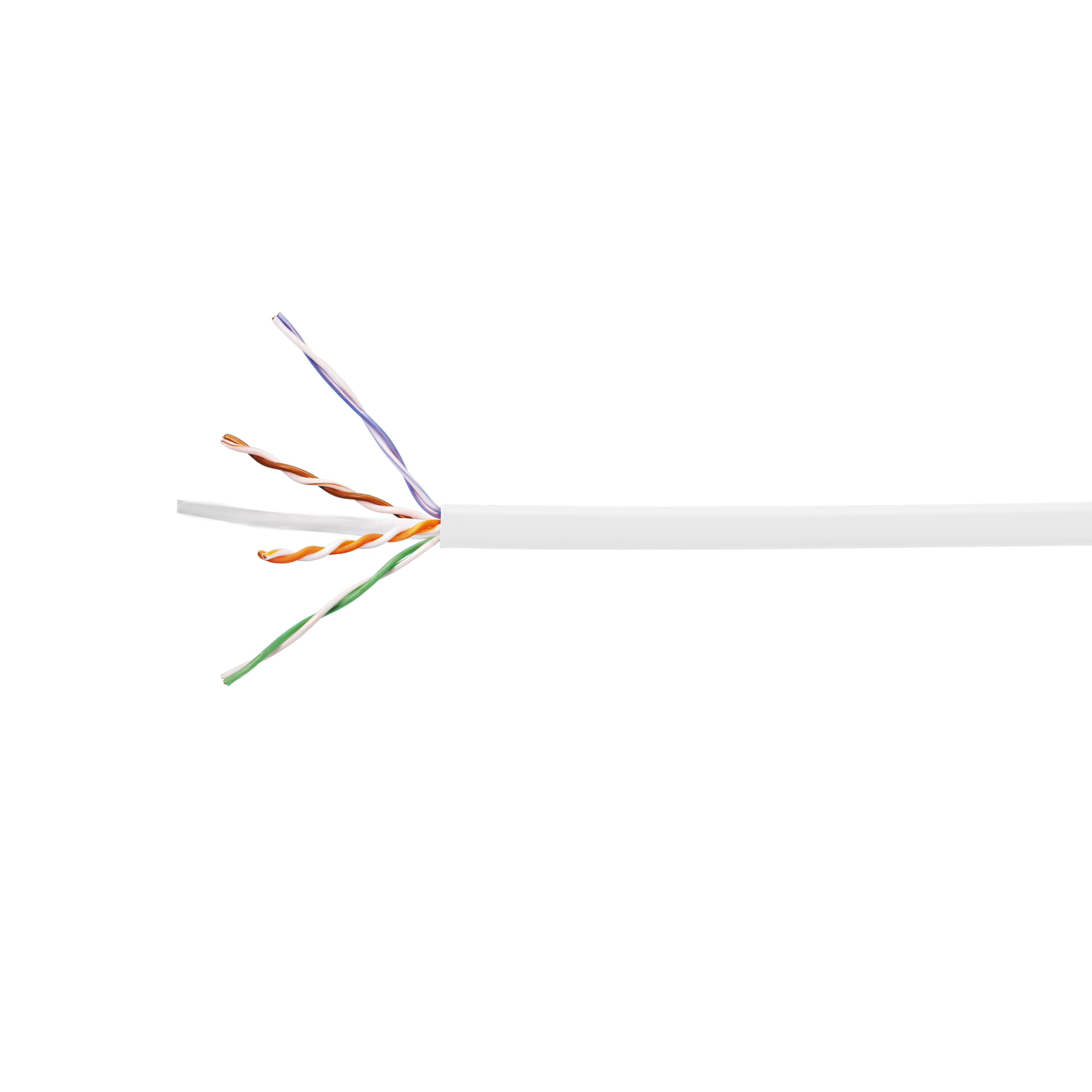 Category 6 Plenum Cable White 4/23 U/UTP B1000