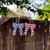 PARTY BOWS - STARS AND STRIPES