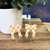 PARTY BOWS - ORANGE CHECKERED