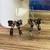 PARTY BOWS - BLACK/GOLD  CONFETTI