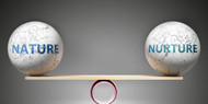 The Age Of Nurturing