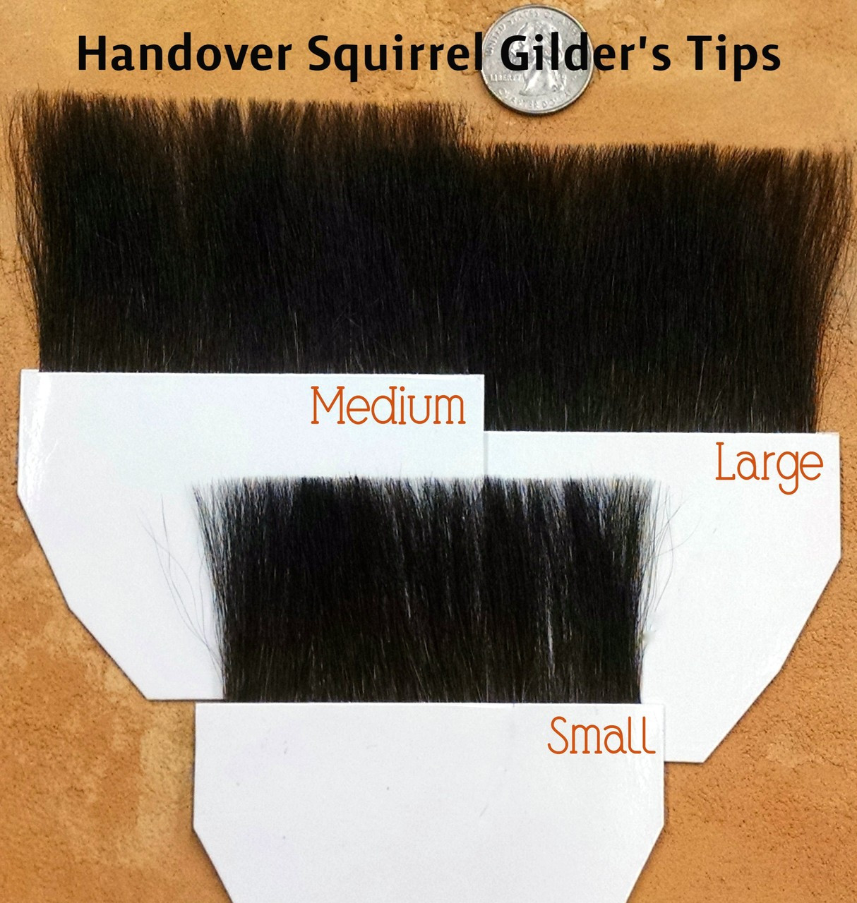 Gilders Tip Natural Squirrel Brush Single Thick 1 Inch