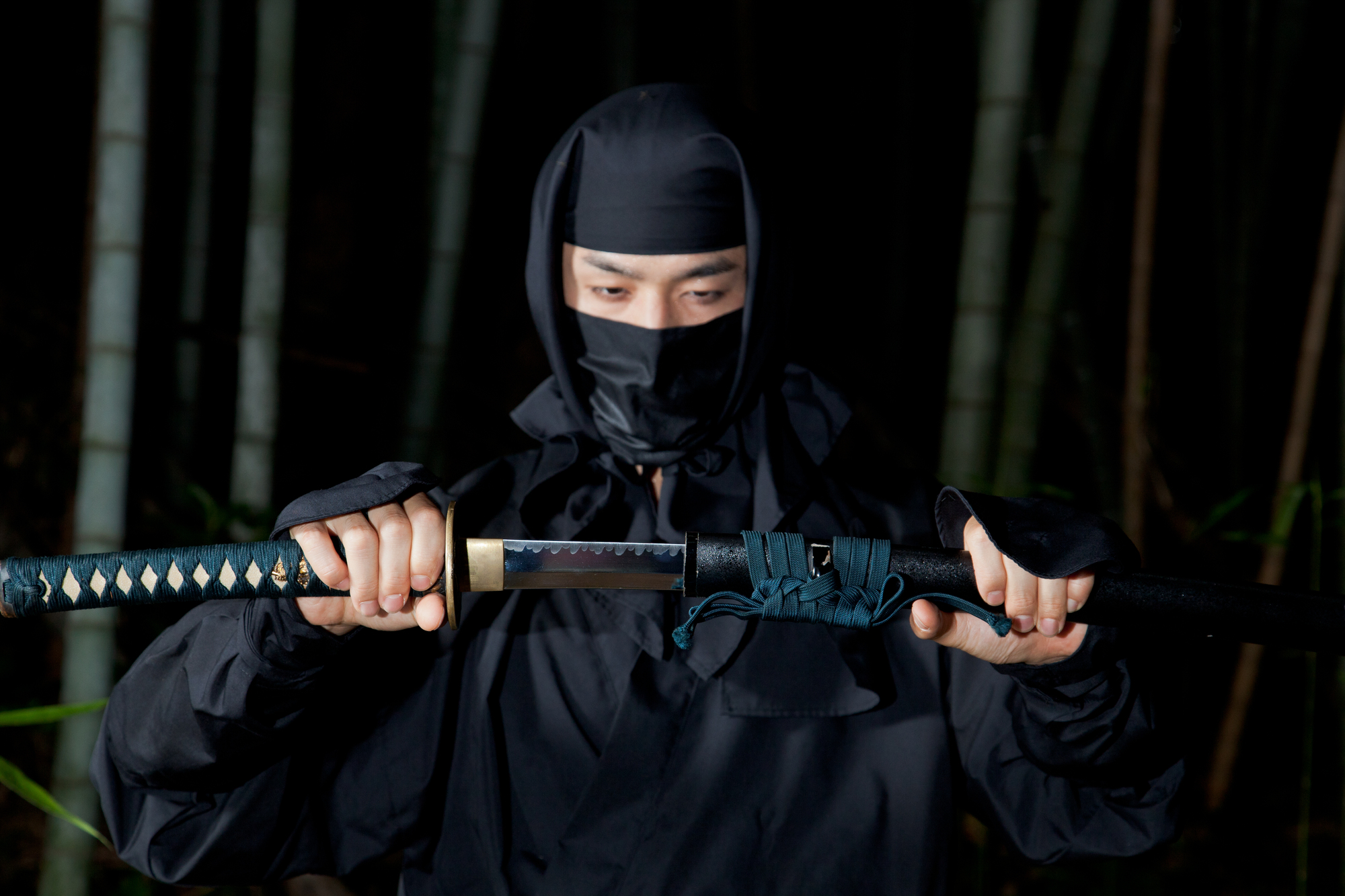 ninjalarge.jpg