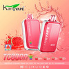 Kangvape TC8000 Disposable Vape | Vape Pooh