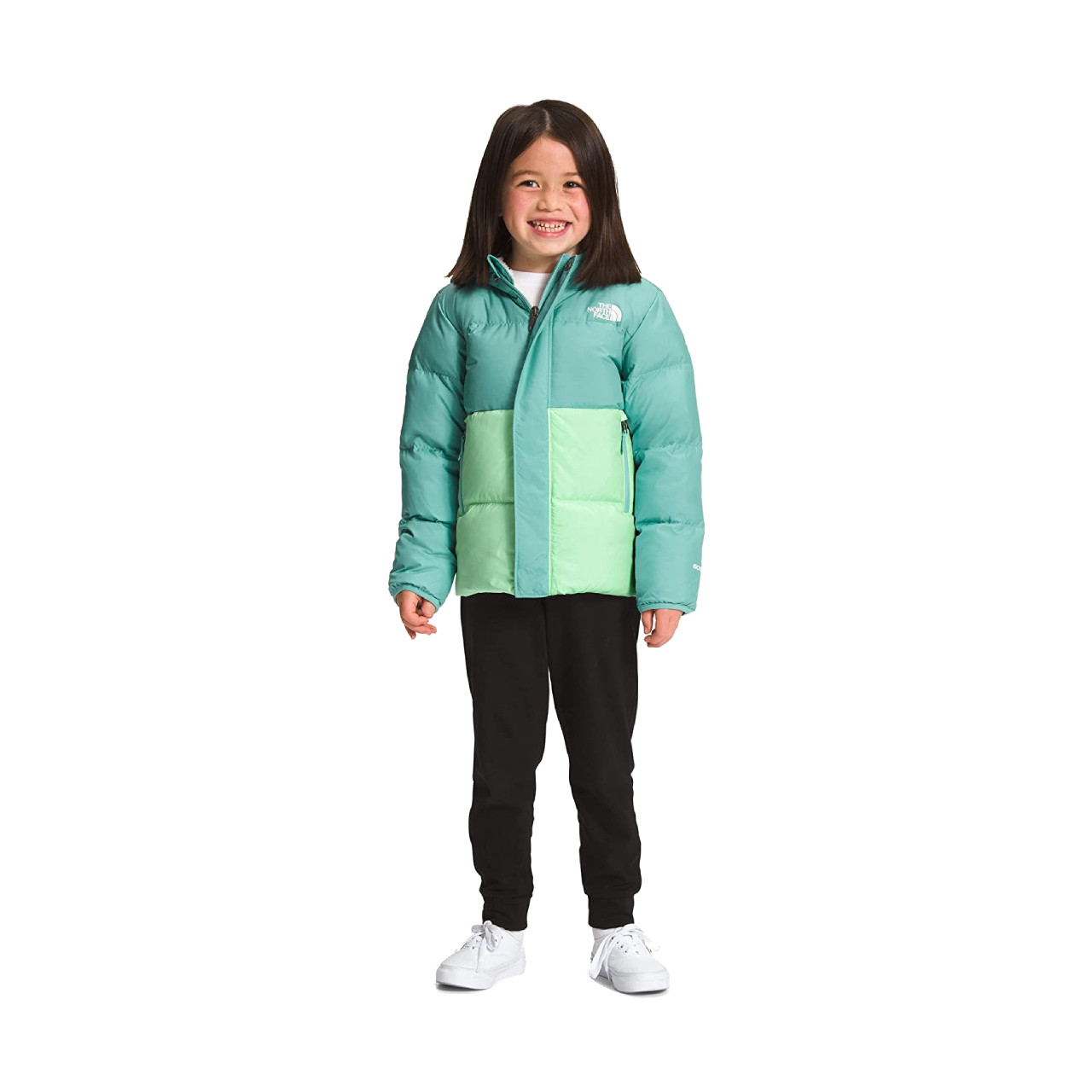 The North Face North Down Fleece-Lined Parka - Boy's - 2023 model