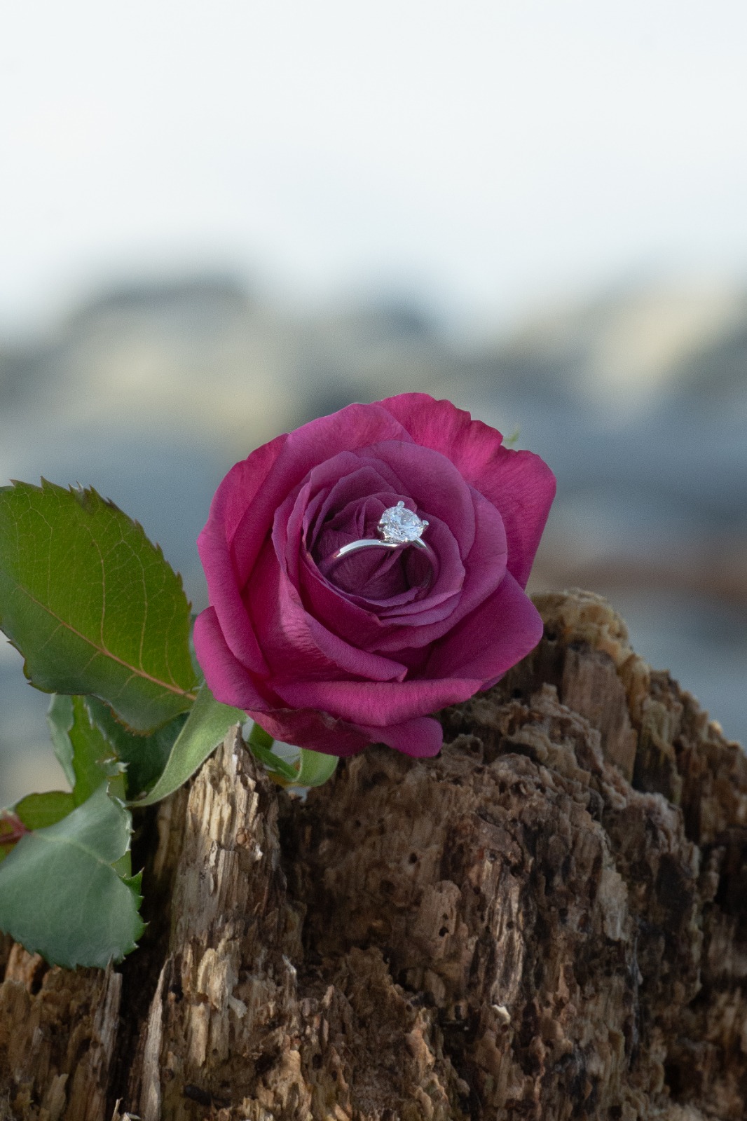 Is It Jewelry or Jewellery? The Correct Spelling Explained