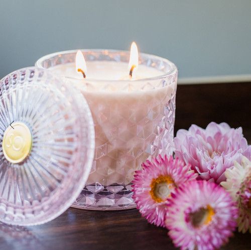 Sunshine & Apricots Sunshine & Apricots