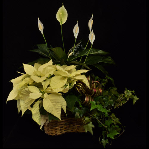 Elegant Garden Basket