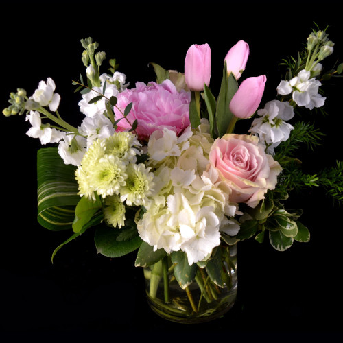 Pretty as a Peony