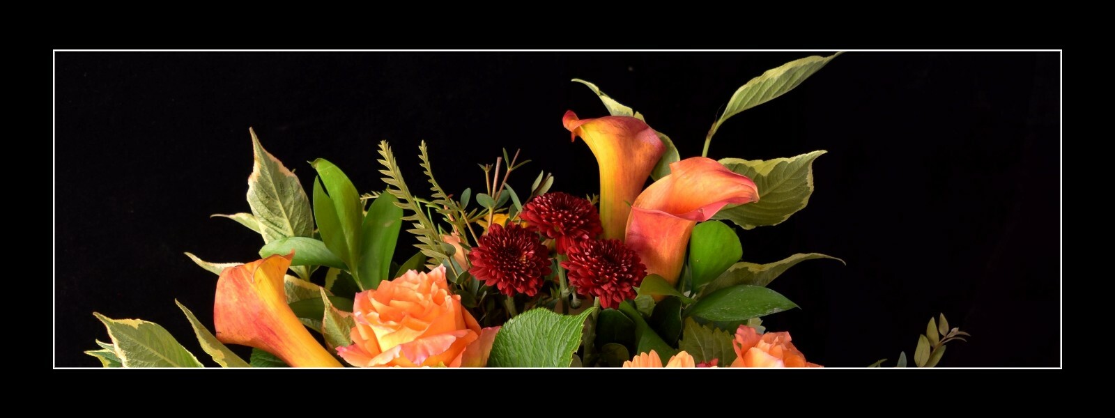 appricots-1600x600.jpg