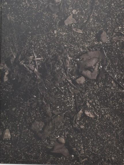 Vik Muniz: Seeing is Believing Signed