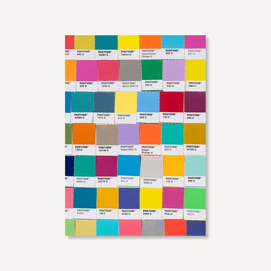 Pantone Chips Journal