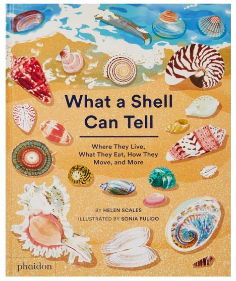 What A Shell Can Tell