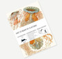 Gift Wrap Books