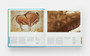 30,000 Years of Art