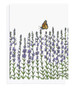 Toute Petite Notecards