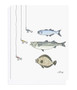 Toute Petite Notecards