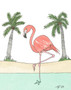 Toute Petite Notecards