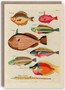 Pattern Book Notecards