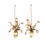 Iris Bronze Earrings