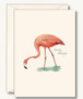 Flamingo Boxed Notes