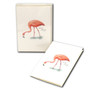 Flamingo Boxed Notes