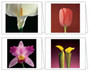 Mapplethorpe Notecard Box