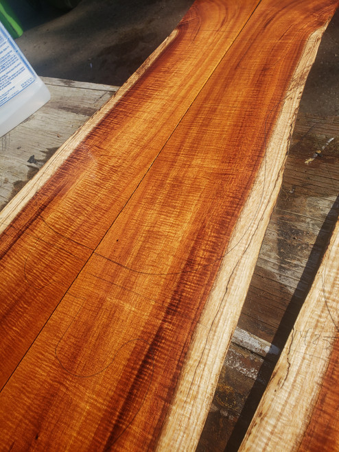 extra long curly koa Bookmatch 2 11.18.2022