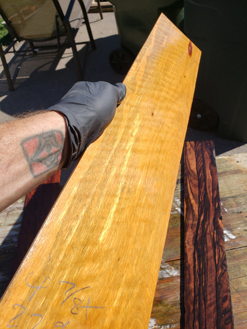 oversize curly marblewood bass fingerboard a 11.18.2022