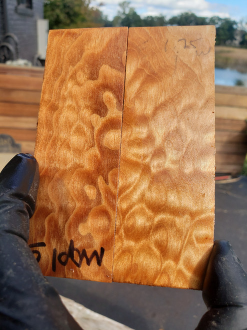 quilted curly Maple  stabilized scales 10.12.23  O