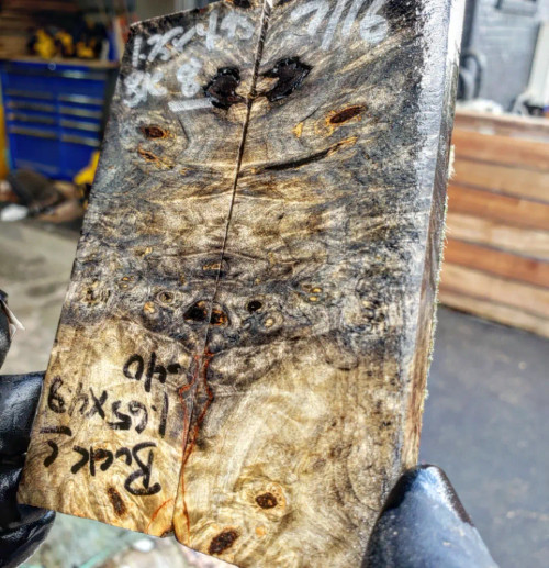 buckeye burl  stabilized scales 10.12.23  C