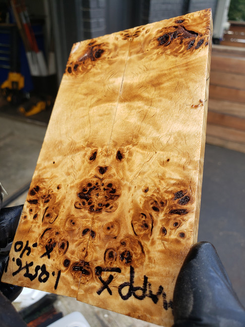 Mappa burl stabilized scales 10.12.23  X