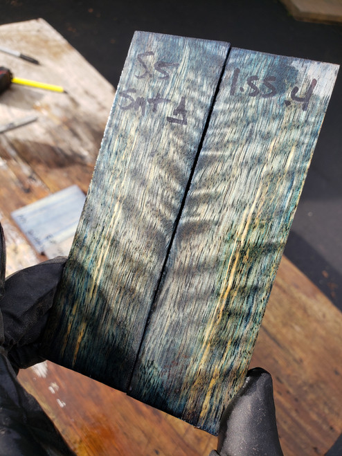  Curly Satinwood stabilized scales  10.18.23 A