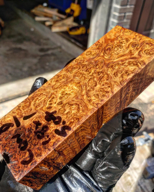 1.8 x 1 x 5.07 concinna D