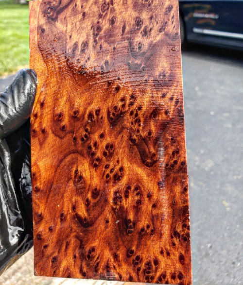  redwood burl stabilized block  Red C 10.14.23