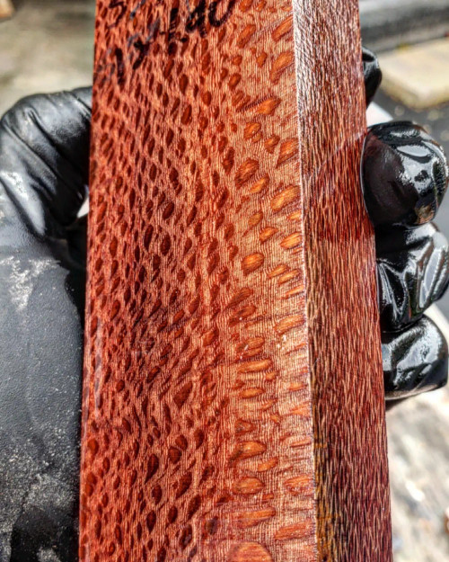Lacewood stabilized block  F 10.14.23
