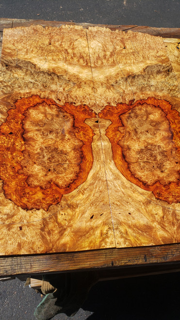 amboyna burl bookmatch 1 6.24.24