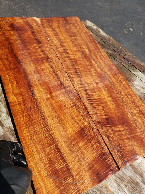 Tazmanian blackwood bookmatch 8.23.24.002