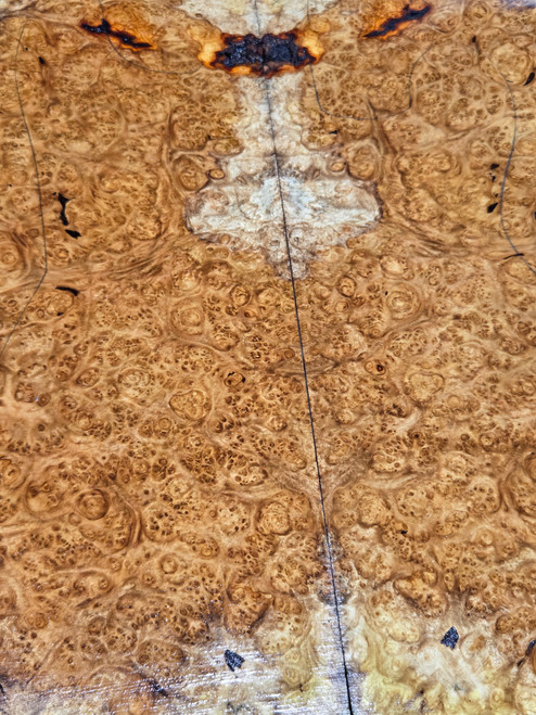 amboyna burl bookmatch 4 6.24.24
